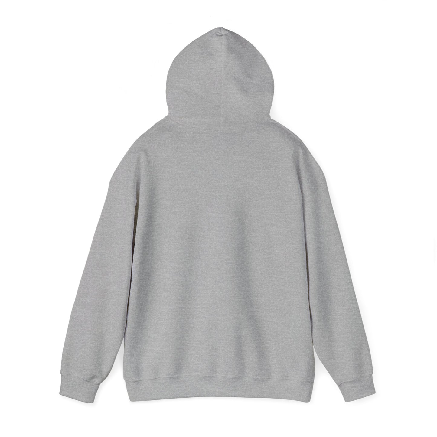 DFW Taxiway Hoodie | Dallas-Fort Worth International Airport Hoodie