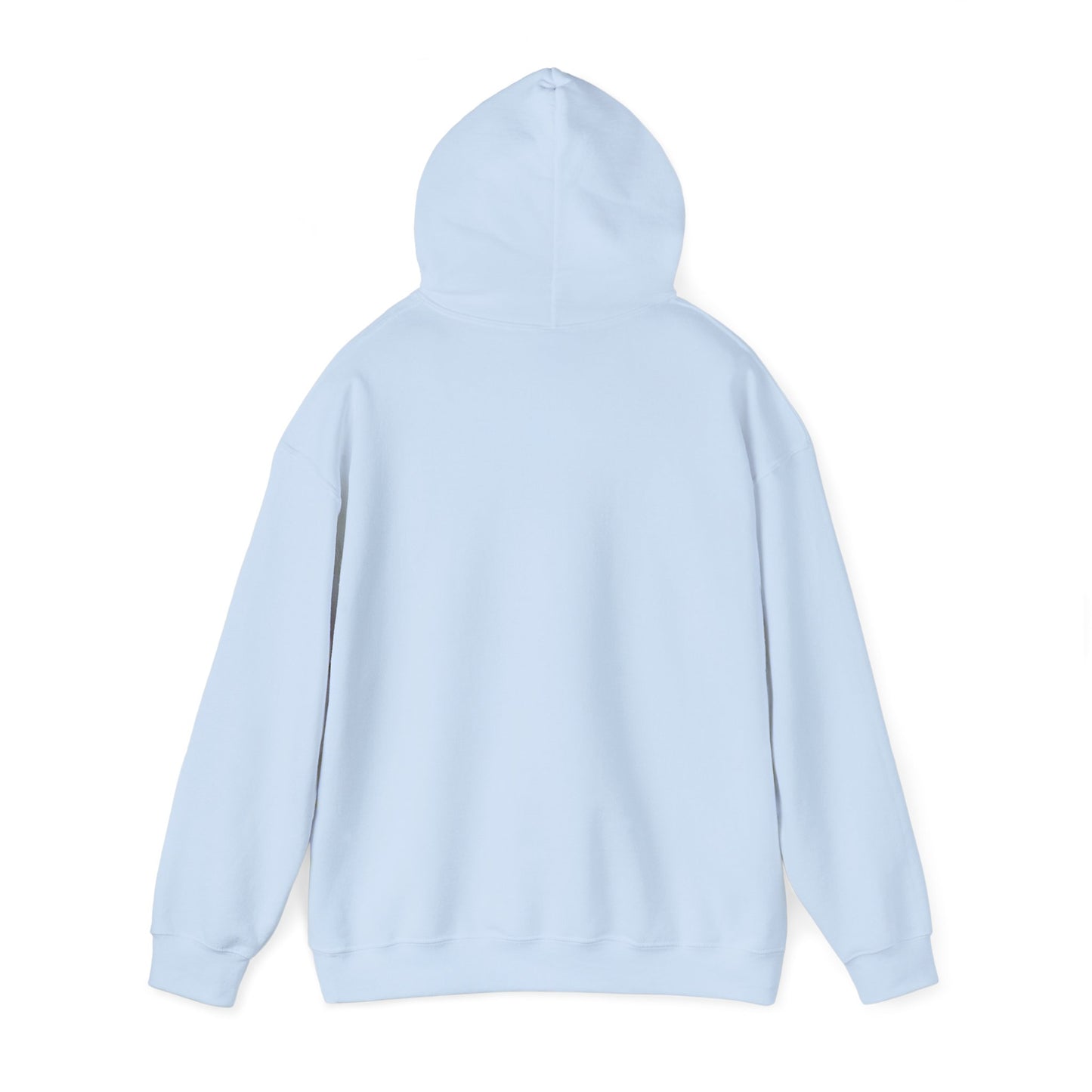 BTV Taxiway Hoodie w/ Airport Name | Patrick Leahy Burlington International Airport Hoodie