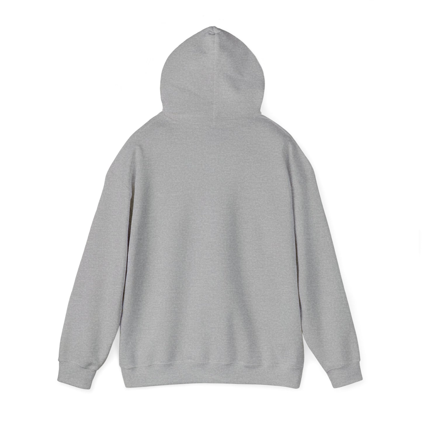 IWA Taxiway Hoodie | Phoenix-Mesa Gateway Airport Hoodie