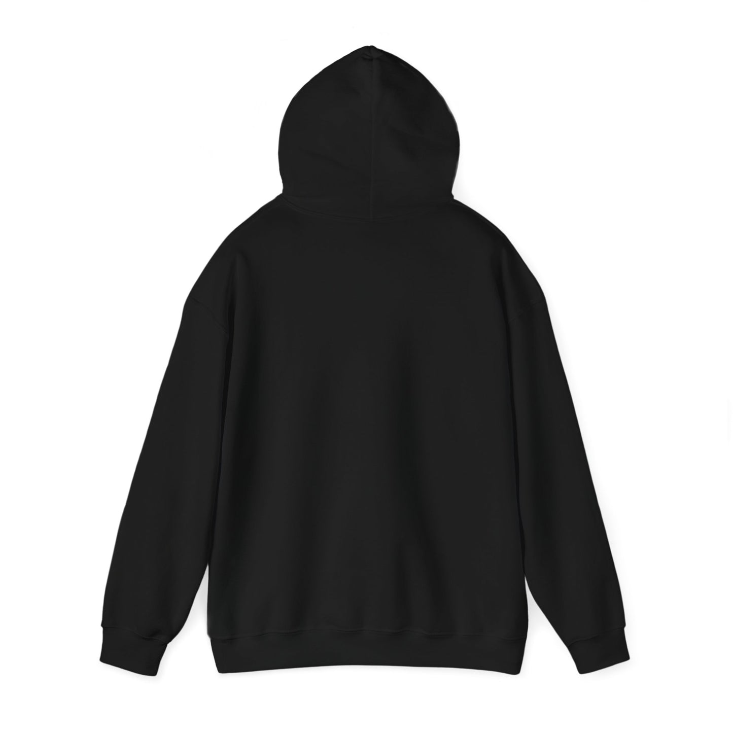 DFW Taxiway Hoodie | Dallas-Fort Worth International Airport Hoodie